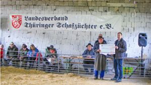Schafzüchter: Spannende Auktion